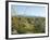 Big Bend National Park, Texas, USA-Ethel Davies-Framed Photographic Print