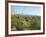 Big Bend National Park, Texas, USA-Ethel Davies-Framed Photographic Print