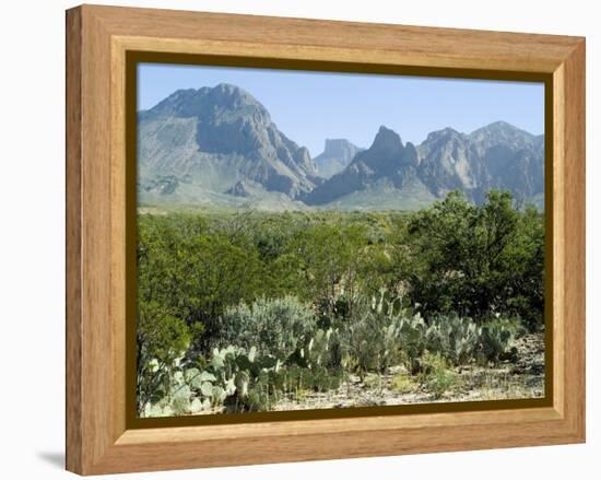 Big Bend National Park, Texas, USA-Ethel Davies-Framed Premier Image Canvas