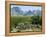 Big Bend National Park, Texas, USA-Ethel Davies-Framed Premier Image Canvas