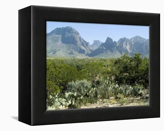 Big Bend National Park, Texas, USA-Ethel Davies-Framed Premier Image Canvas