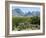 Big Bend National Park, Texas, USA-Ethel Davies-Framed Photographic Print