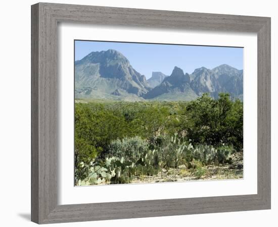 Big Bend National Park, Texas, USA-Ethel Davies-Framed Photographic Print