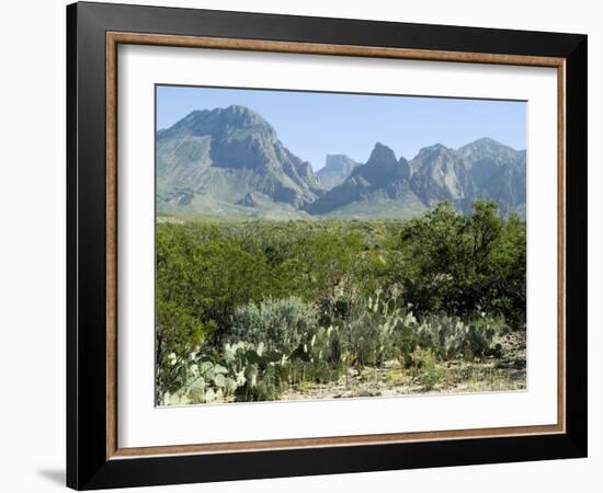 Big Bend National Park, Texas, USA-Ethel Davies-Framed Photographic Print