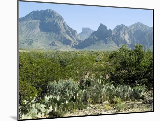 Big Bend National Park, Texas, USA-Ethel Davies-Mounted Photographic Print