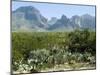 Big Bend National Park, Texas, USA-Ethel Davies-Mounted Photographic Print