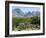 Big Bend National Park, Texas, USA-Ethel Davies-Framed Photographic Print