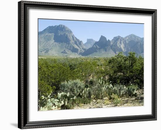 Big Bend National Park, Texas, USA-Ethel Davies-Framed Photographic Print