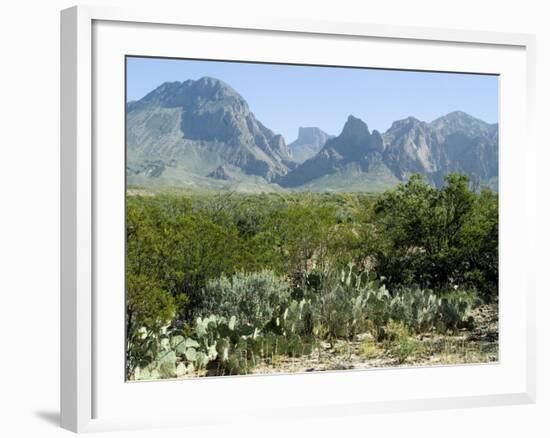 Big Bend National Park, Texas, USA-Ethel Davies-Framed Photographic Print