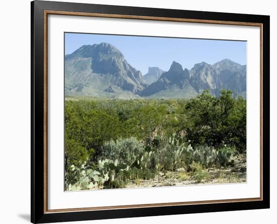 Big Bend National Park, Texas, USA-Ethel Davies-Framed Photographic Print