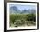 Big Bend National Park, Texas, USA-Ethel Davies-Framed Photographic Print