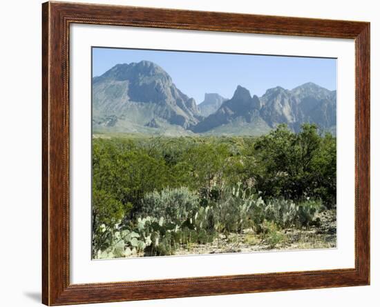 Big Bend National Park, Texas, USA-Ethel Davies-Framed Photographic Print