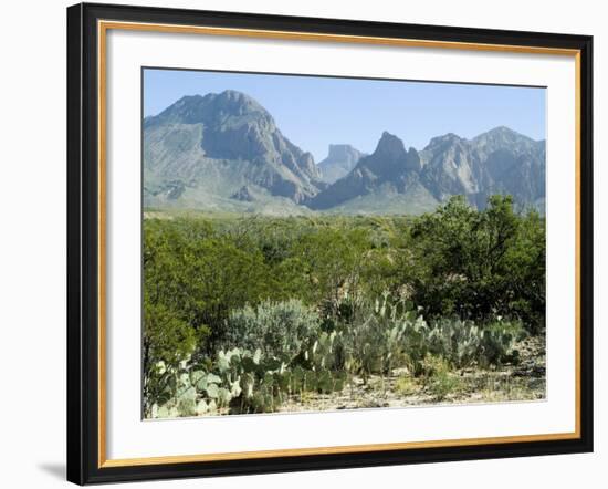 Big Bend National Park, Texas, USA-Ethel Davies-Framed Photographic Print