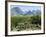 Big Bend National Park, Texas, USA-Ethel Davies-Framed Photographic Print