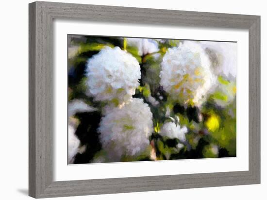 Big Blowsy Blooms, 2018,-Helen White-Framed Giclee Print