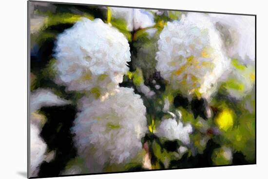 Big Blowsy Blooms, 2018,-Helen White-Mounted Giclee Print