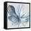 Big Blue Flower II-Aria K-Framed Stretched Canvas