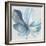 Big Blue Flower II-Aria K-Framed Premium Giclee Print
