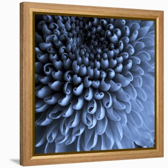 Big Blue-Doug Chinnery-Framed Premier Image Canvas