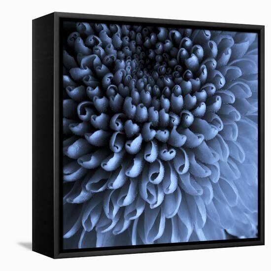 Big Blue-Doug Chinnery-Framed Premier Image Canvas