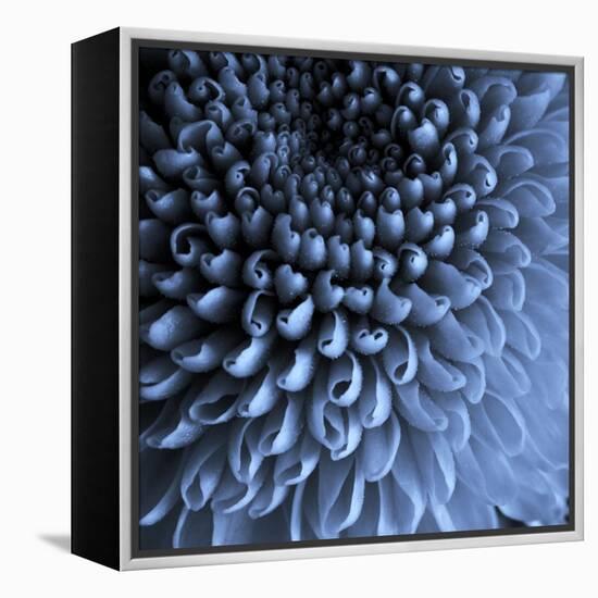 Big Blue-Doug Chinnery-Framed Premier Image Canvas