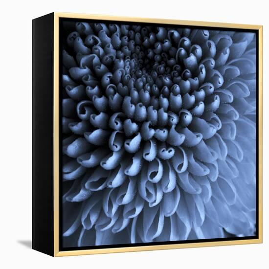 Big Blue-Doug Chinnery-Framed Premier Image Canvas