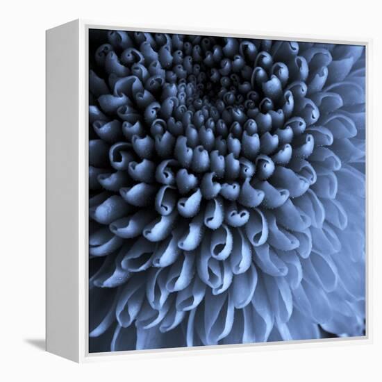 Big Blue-Doug Chinnery-Framed Premier Image Canvas