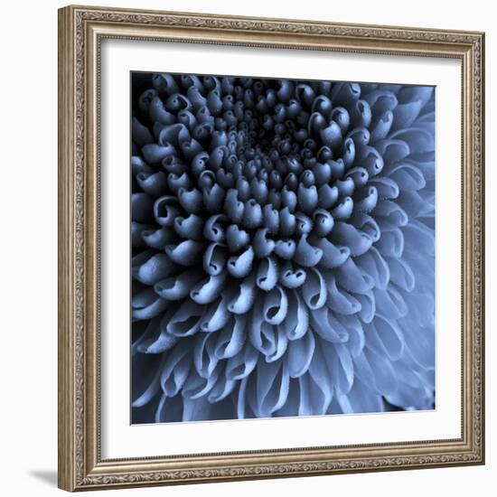 Big Blue-Doug Chinnery-Framed Photographic Print