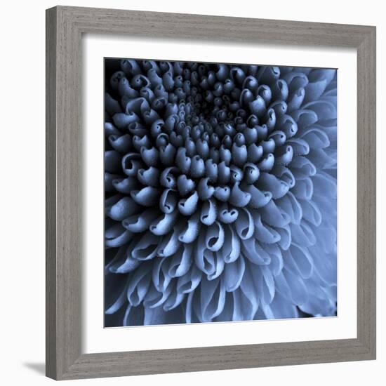 Big Blue-Doug Chinnery-Framed Photographic Print