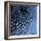 Big Blue-Doug Chinnery-Framed Photographic Print