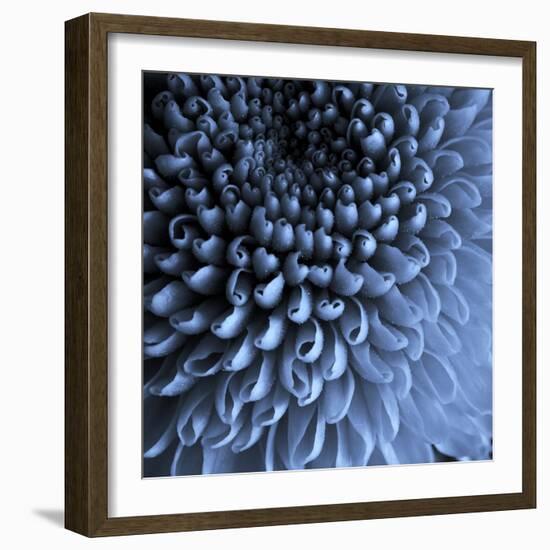 Big Blue-Doug Chinnery-Framed Photographic Print