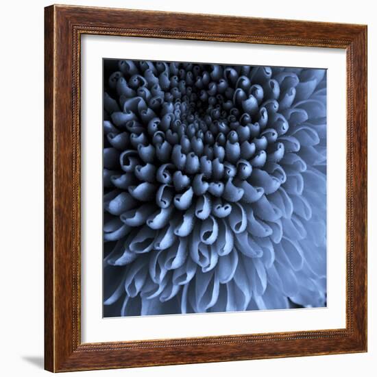 Big Blue-Doug Chinnery-Framed Photographic Print