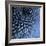 Big Blue-Doug Chinnery-Framed Photographic Print