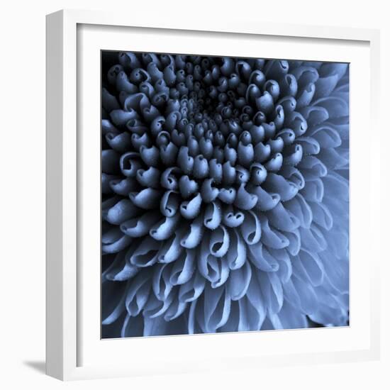 Big Blue-Doug Chinnery-Framed Photographic Print