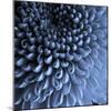 Big Blue-Doug Chinnery-Mounted Photographic Print