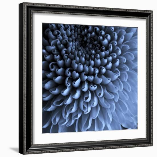 Big Blue-Doug Chinnery-Framed Photographic Print