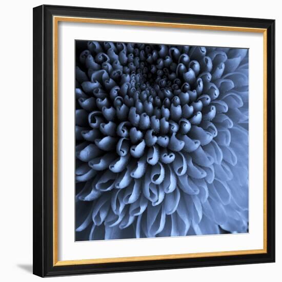 Big Blue-Doug Chinnery-Framed Photographic Print