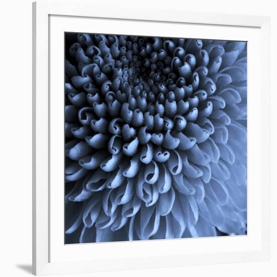 Big Blue-Doug Chinnery-Framed Photographic Print