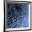 Big Blue-Doug Chinnery-Framed Photographic Print