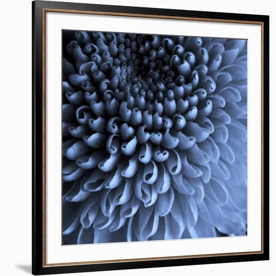 Big Blue-Doug Chinnery-Framed Photographic Print