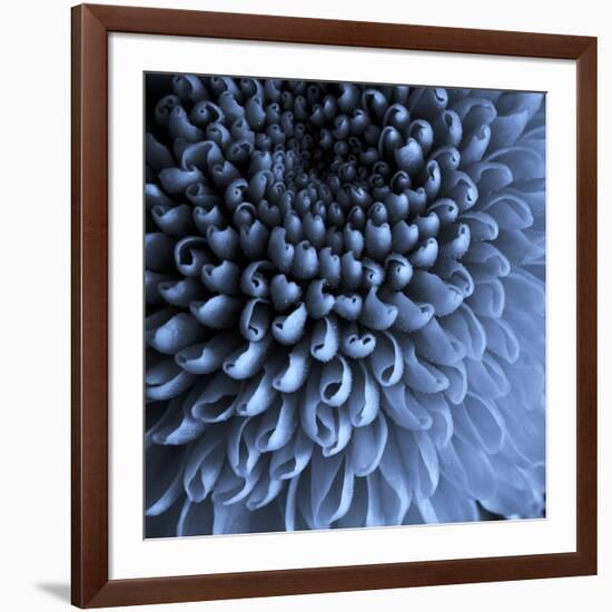 Big Blue-Doug Chinnery-Framed Photographic Print