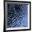 Big Blue-Doug Chinnery-Framed Photographic Print