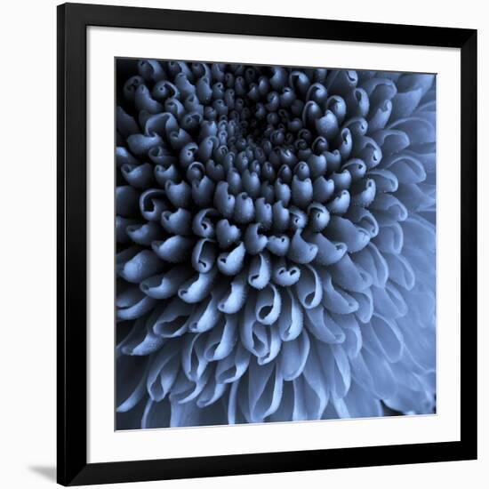 Big Blue-Doug Chinnery-Framed Photographic Print