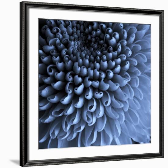 Big Blue-Doug Chinnery-Framed Photographic Print