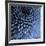 Big Blue-Doug Chinnery-Framed Photographic Print