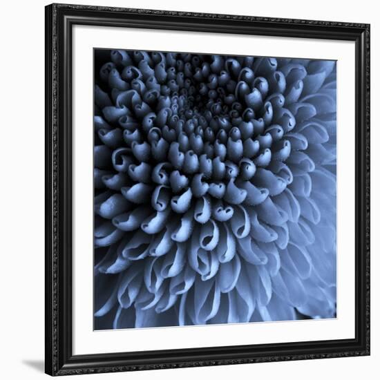 Big Blue-Doug Chinnery-Framed Photographic Print