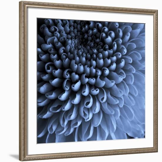 Big Blue-Doug Chinnery-Framed Photographic Print