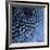 Big Blue-Doug Chinnery-Framed Photographic Print