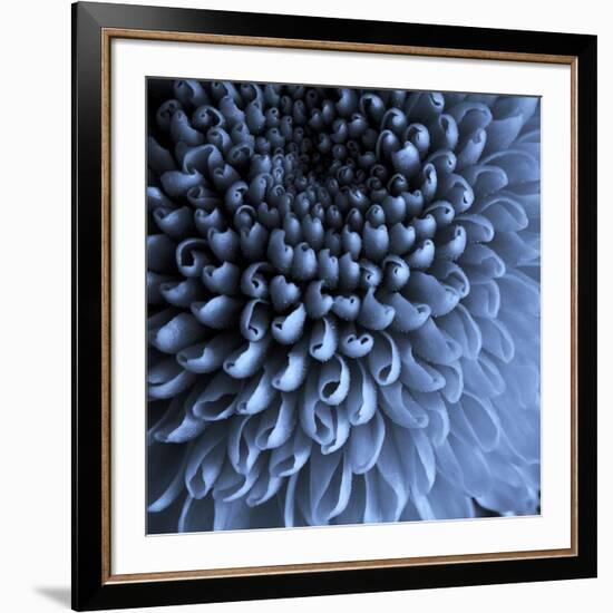 Big Blue-Doug Chinnery-Framed Photographic Print