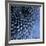 Big Blue-Doug Chinnery-Framed Photographic Print